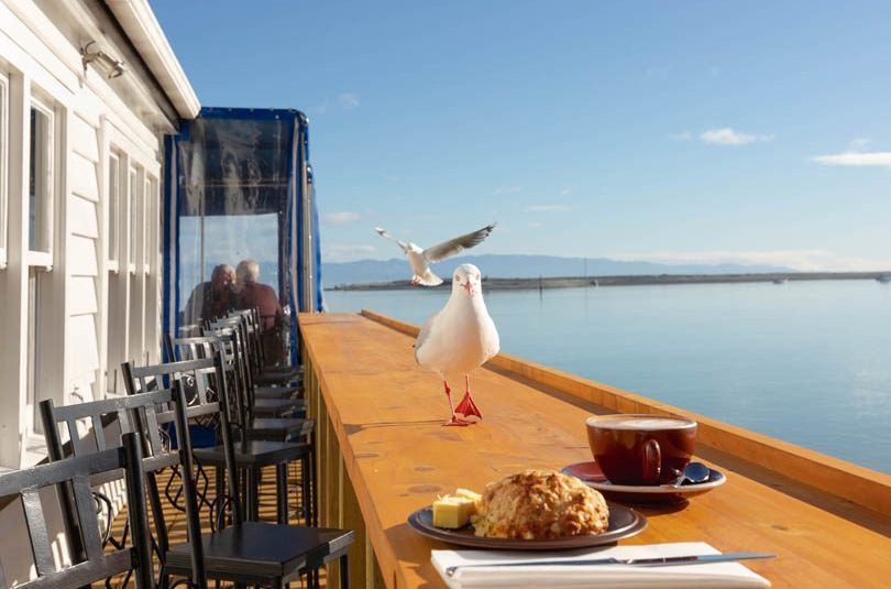 The Boat Shed Cafe Relaunced The Boat Shed Cafe Relaunced