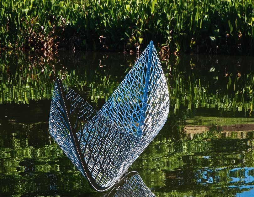 48 HOURS IN MATAKANA