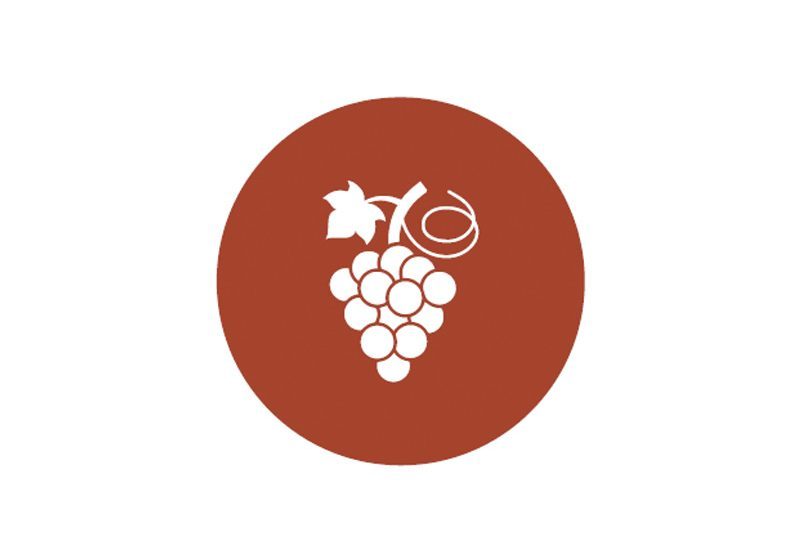 WINE RESEARCH TO TAKE OFF IN BLENHEIM WINE RESEARCH TO TAKE OFF IN BLENHEIM