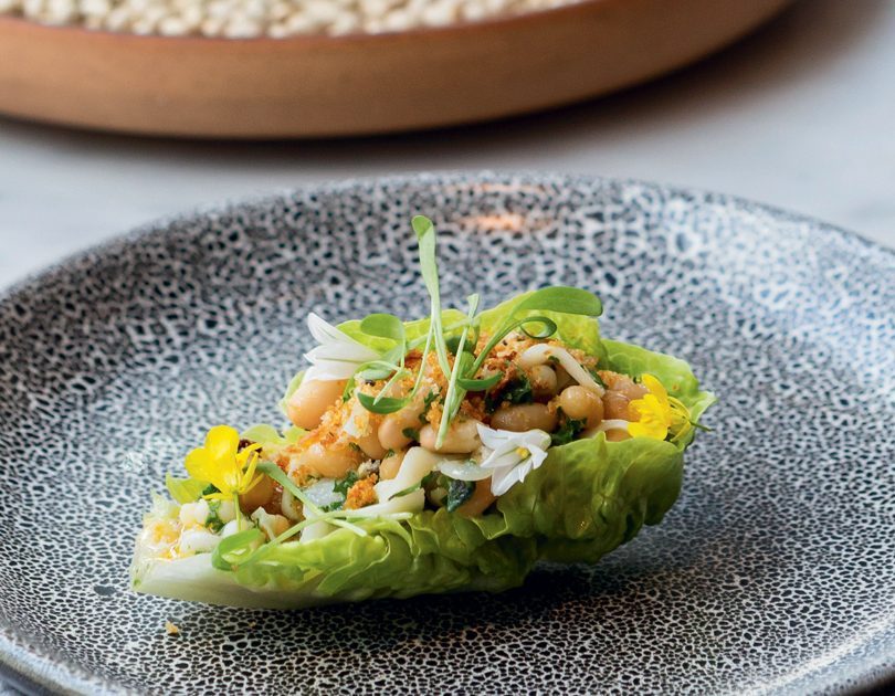 THINLY SLICED SOUTH ISLAND SQUID WITH WHITE BEANS