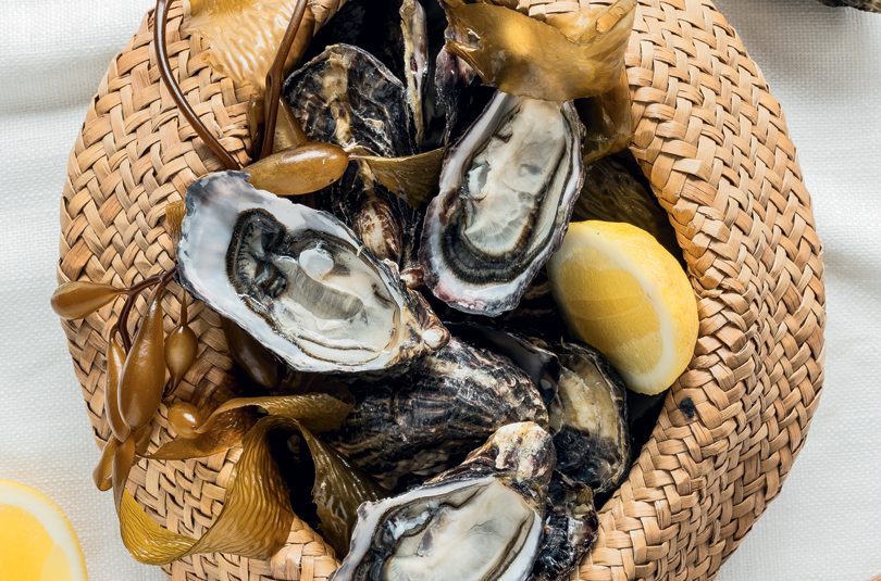 OYSTERS OYSTERS