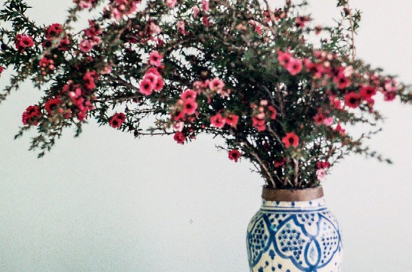 KIND ARRANGEMENTS KIND ARRANGEMENTS