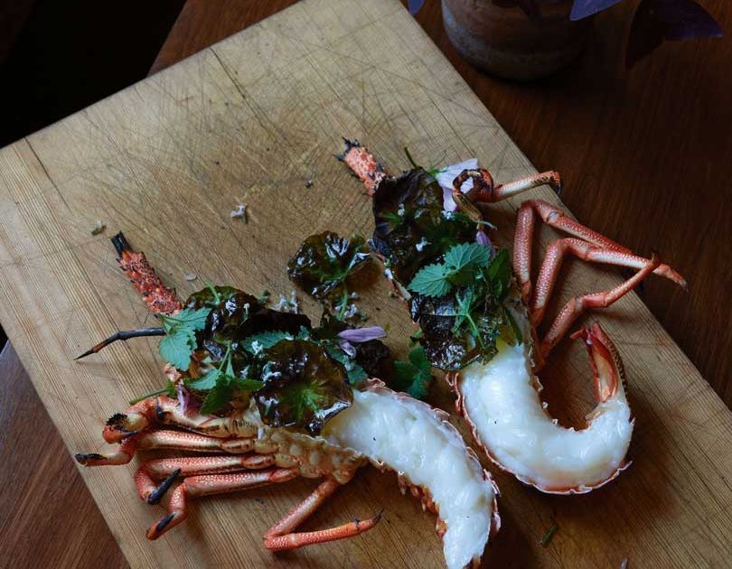 LOBSTER OVER THE COALS