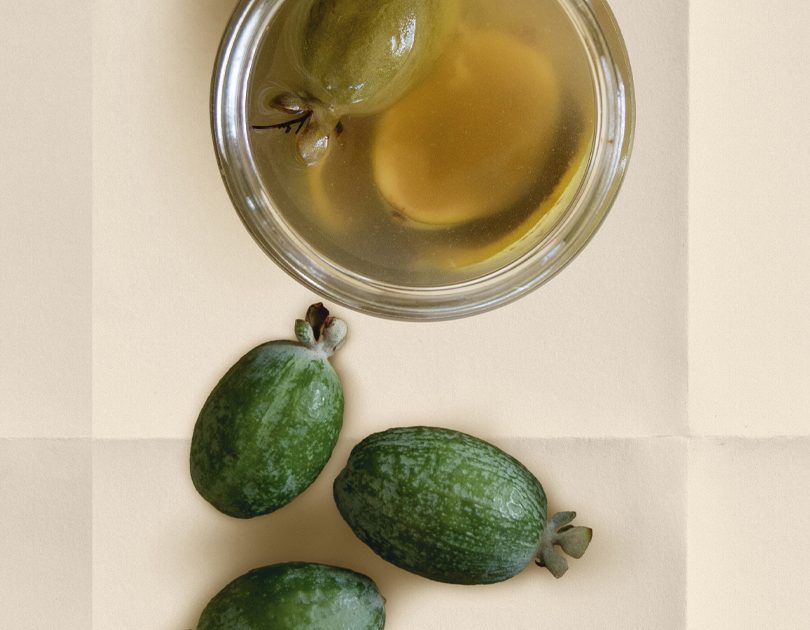 FEIJOA-SKIN SHRUB