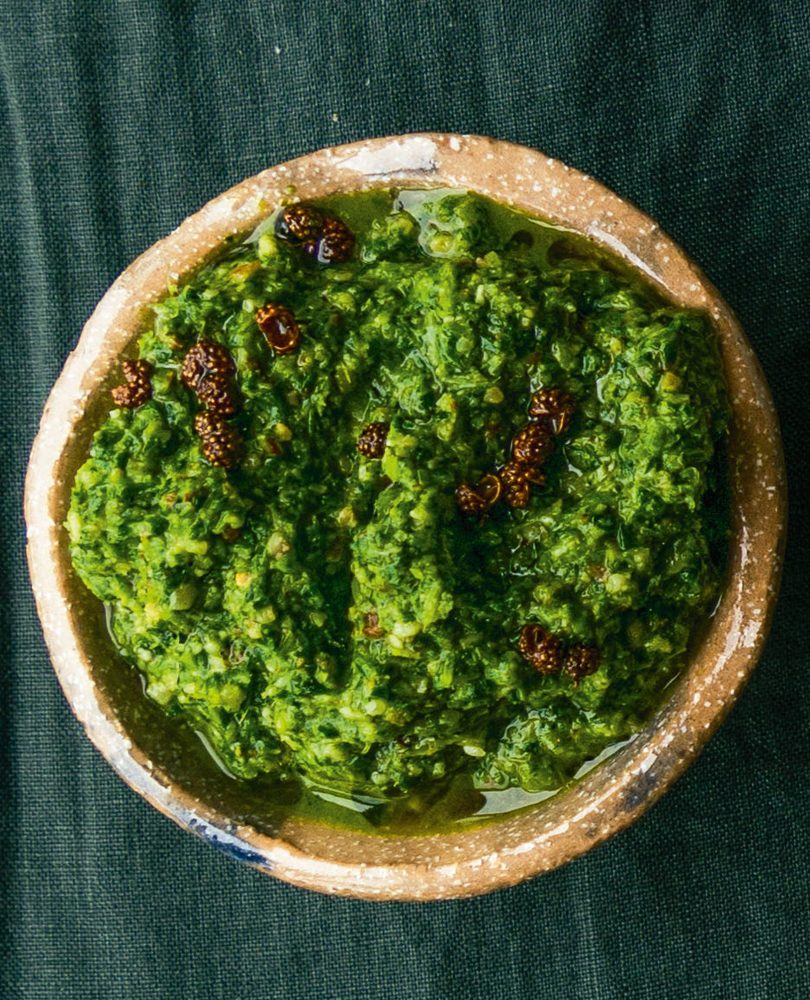 NUMBING & SPICY SICHUAN PARSLEY PESTO NUMBING & SPICY SICHUAN PARSLEY PESTO