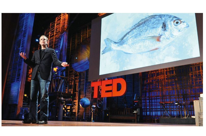 HOW I FELL IN LOVE WITH A FISH – DAN BARBER HOW I FELL IN LOVE WITH A FISH – DAN BARBER