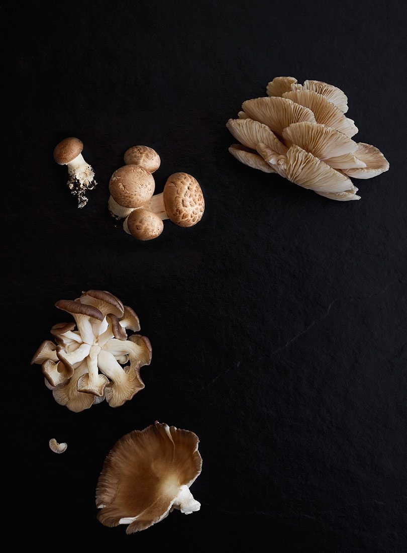 Pizza Fritta - Cuisine Magazine - From New Zealand to the World