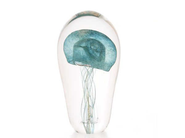 JellyFish_J